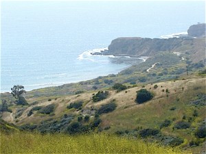 n660792791_966746_5580