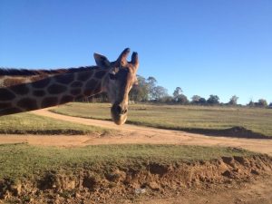 554783_10151596392227792_1019184033_n